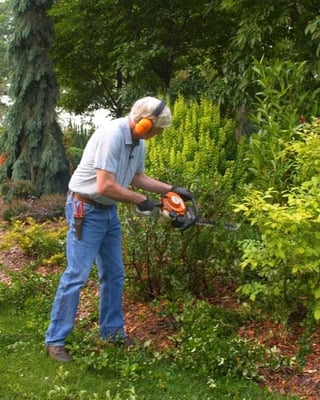 The Easy Way to Prune Quince in late spring